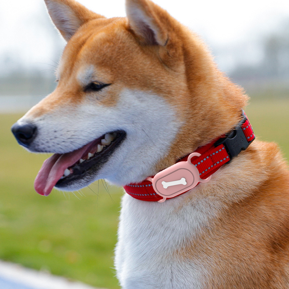 Funda de silicona a prueba de polvo para perro y gato, soporte para Collar para Samsung Galaxy SmartTag2